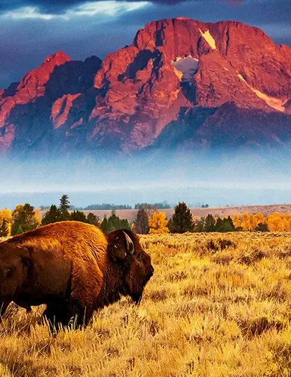 Zion Ranch Stay